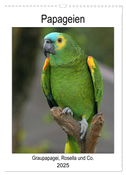 Papageien - Graupapagei, Rosella und Co. (Wandkalender 2025 DIN A3 hoch), CALVENDO Monatskalender