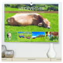 Weideviecher, Kühe liebevolle Wiederkäuer (hochwertiger Premium Wandkalender 2024 DIN A2 quer), Kunstdruck in Hochglanz
