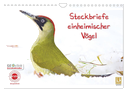 Steckbriefe einheimischer Vögel (Wandkalender 2024 DIN A4 quer), CALVENDO Monatskalender