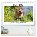 NUTRIAS - Die Stars der Bonner Rheinaue (hochwertiger Premium Wandkalender 2024 DIN A2 quer), Kunstdruck in Hochglanz