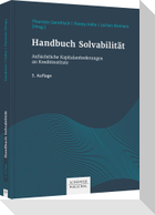 Handbuch Solvabilität