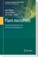 Plant microRNAs