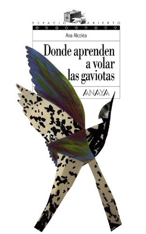 Alcolea, Ana. Donde aprenden a volar las gaviotas. Anaya Educación, 2007.