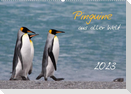 Pinguine aus aller Welt (Wandkalender 2023 DIN A2 quer)