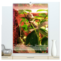 Fotoshooting mit einem Jemenchamäleon (hochwertiger Premium Wandkalender 2024 DIN A2 hoch), Kunstdruck in Hochglanz