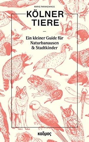 Parakenings, Marie. Kölner Tiere - Ein kleiner Guide für Naturbanausen und Stadtkinder. Kulturverlag Kadmos, 2021.