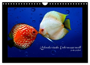 Hultsch, Heike. Kalendarische Unterwasserwelt (Wandkalender 2024 DIN A4 quer), CALVENDO Monatskalender - Fantastisch-schöne Fische, nicht nur für Aquarianer. Calvendo Verlag, 2023.