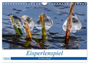 Eisperlenspiel (Wandkalender 2024 DIN A4 quer), CALVENDO Monatskalender