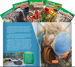 Multiple Authors / Davies, Monika et al. Life Science Grade 4: 5-Book Set. Teacher Created Materials, 2016.