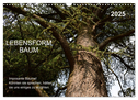 Lebensform Baum (Wandkalender 2025 DIN A3 quer), CALVENDO Monatskalender