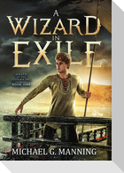 Wizard in Exile