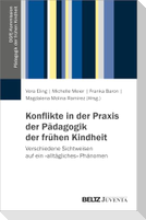 Konflikte in der Praxis der Pädagogik der frühen Kindheit