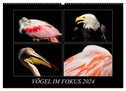 Vögel im Fokus 2024 (Wandkalender 2024 DIN A2 quer), CALVENDO Monatskalender