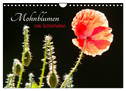 Mohnblumen - rote Schönheiten (Wandkalender 2025 DIN A4 quer), CALVENDO Monatskalender