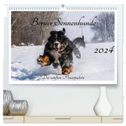 Berner Sennenhunde - Die sanften Powerpakete (hochwertiger Premium Wandkalender 2024 DIN A2 quer), Kunstdruck in Hochglanz