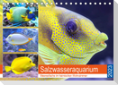 Salzwasseraquarium. Meeresfische im heimischen Wohnzimmer (Tischkalender 2023 DIN A5 quer)