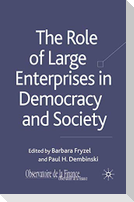 The Role of Large Enterprises in Democracy and Society