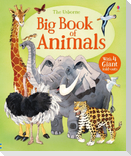 Big Book of Animals