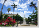 Havanna in Blüte (Tischkalender 2022 DIN A5 quer)