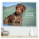 Deutsch Drahthaar - Ein Jahr mit Max (hochwertiger Premium Wandkalender 2025 DIN A2 quer), Kunstdruck in Hochglanz