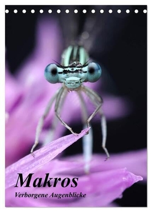 Hruschka Photography, Michael. Makros - Verborgene Augenblicke (Tischkalender 2024 DIN A5 hoch), CALVENDO Monatskalender - Faszinierende Makroaufnahmen einheimischer Insekten. Calvendo, 2023.