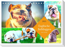Dicke Freunde. Englische Bulldoggen (Tischkalender 2025 DIN A5 quer), CALVENDO Monatskalender