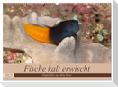 Sven Gruse taucht ab! Fische kalt erwischt (Wandkalender 2025 DIN A2 quer), CALVENDO Monatskalender