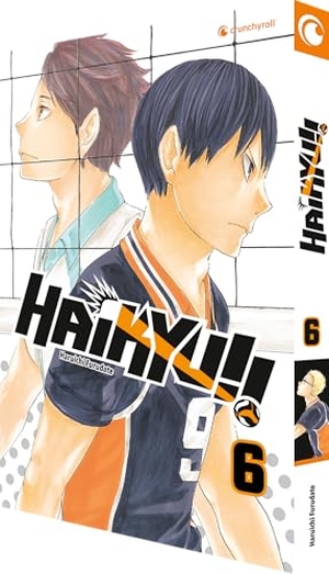 Furudate, Haruichi. Haikyu!! 06. Pegasus Manga, 2018.