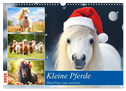 Kleine Pferde. Mini-Ponys zum verlieben (Wandkalender 2025 DIN A3 quer), CALVENDO Monatskalender