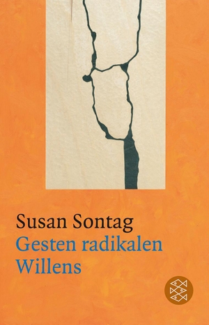 Sontag, Susan. Gesten radikalen Willens. FISCHER Taschenbuch, 2011.