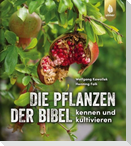 Die Pflanzen der Bibel