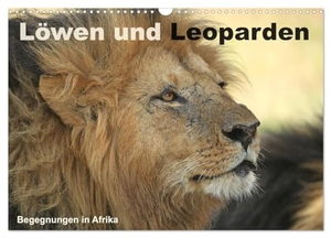 Herzog, Michael. Löwen und Leoparden - Begegnungen in Afrika (Wandkalender 2024 DIN A3 quer), CALVENDO Monatskalender - Wilde Raubkatzen in Afrika. Calvendo Verlag, 2023.