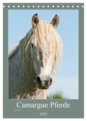 Camargue Pferde - weiße Mähnen (Tischkalender 2025 DIN A5 hoch), CALVENDO Monatskalender