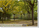 Autumn Nuances (Wall Calendar 2022 DIN A3 Landscape)