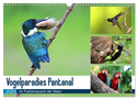 Vogelparadies Pantanal (Wandkalender 2024 DIN A3 quer), CALVENDO Monatskalender
