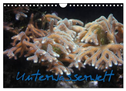 Unterwasserwelt (Wandkalender 2025 DIN A4 quer), CALVENDO Monatskalender