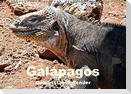 Galápagos Geburtstagskalender (Wandkalender immerwährend DIN A3 quer)