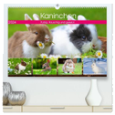 Kaninchen. Putzig, flauschig und geliebt (hochwertiger Premium Wandkalender 2024 DIN A2 quer), Kunstdruck in Hochglanz