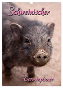 Schweinischer Terminplaner (Wandkalender 2024 DIN A3 hoch), CALVENDO Monatskalender