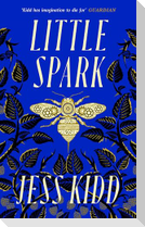 Little Spark