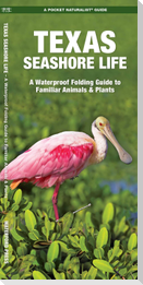 Texas Seashore Life, 3rd Ed