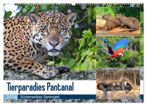 und Yvonne Herzog, Michael. Tierparadies Pantanal (Wandkalender 2024 DIN A2 quer), CALVENDO Monatskalender - Tierreichtum im Südwesten Brasiliens. Calvendo, 2023.