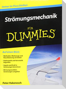 Strömungsmechanik für Dummies