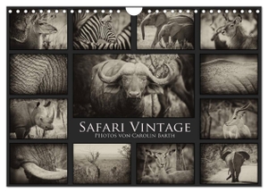 Barth, Carolin. Safari Vintage (Wandkalender 2024 DIN A4 quer), CALVENDO Monatskalender - Carolin Barth nimmt Sie mit auf eine virtuelle Safari.. Calvendo Verlag, 2023.
