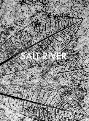 Posingis, Sebastian. Salt River. Steidl GmbH & Co.OHG, 2026.