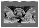 Erlebnis Mikrokosmos (Wandkalender 2024 DIN A4 quer), CALVENDO Monatskalender