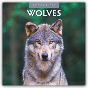 Red, Robin. Wolves - Wölfe 2027 - 16-Monatskalender - Original Red Robin Publishing Ltd-Kalender [Mehrsprachig] [Kalender]. Browntrout Verlags GmbH, 2026.