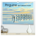 Pinguine der Falkland Inseln (hochwertiger Premium Wandkalender 2024 DIN A2 quer), Kunstdruck in Hochglanz
