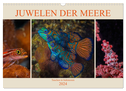 Juwelen der Meere (Wandkalender 2024 DIN A3 quer), CALVENDO Monatskalender