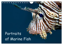 Portraits of Marine Fish (Wall Calendar 2024 DIN A4 landscape), CALVENDO 12 Month Wall Calendar